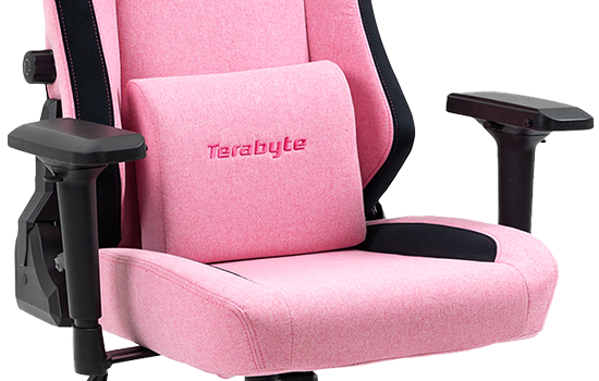 Cadeira Gamer Terabyte Style